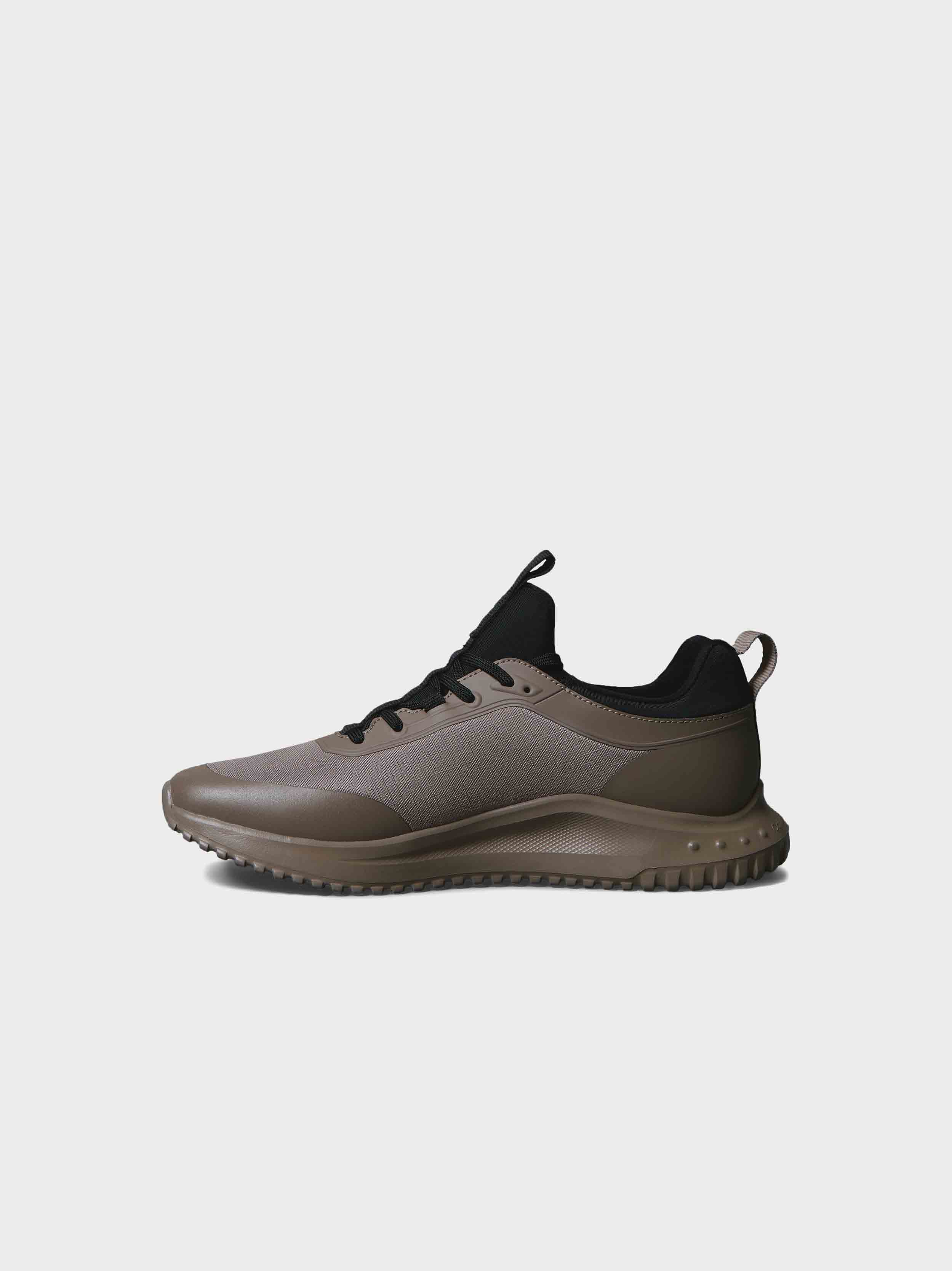 Brown / Black